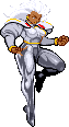 Storm Mugen Char 1