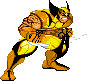 Wolverine Mugen Char 1